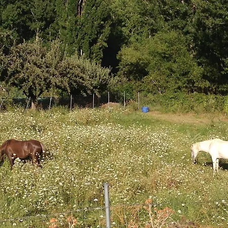 Encanto De Aragon * Torres de Albarracín