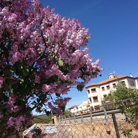 Encanto De Aragon *